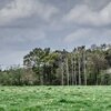 Fieldwalk