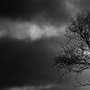 Dark Sky