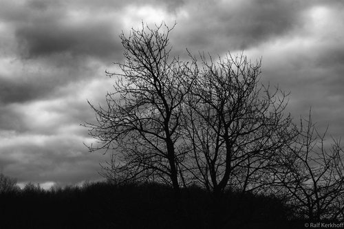 Drama