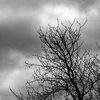 Drama