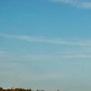 Baumfront