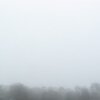 Morning Mist