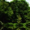 GreenGlow