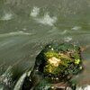 Green Rock