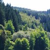 GreenGlow