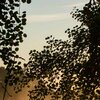 Sunlight