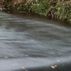 Stauwehr