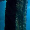 The Deep