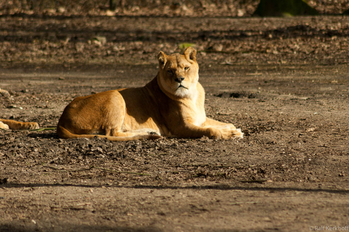 Sunbath