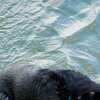 Out Of The Water