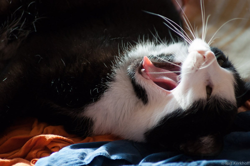Anstrengend