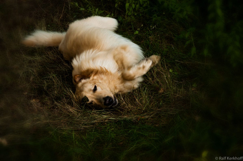 Hard Day