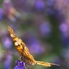 Abflug