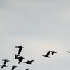Abflug