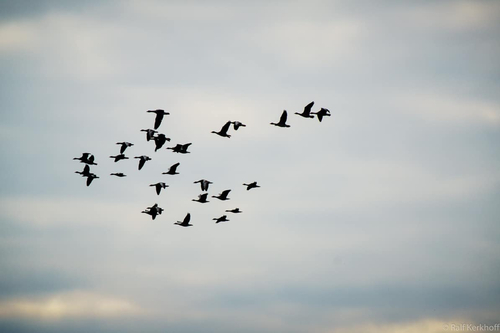 Abflug
