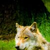 Relaxing