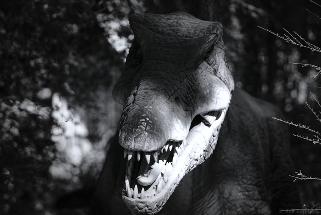 Dino